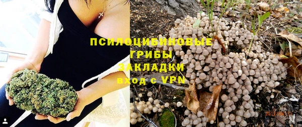 герыч Вязьма